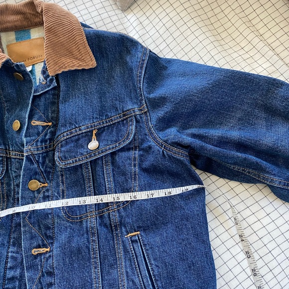 Aritzia Lined Denim Jacket - Picture 3 of 4